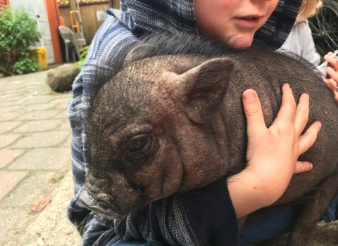 No Happy Endings: Practicing Care in Troubled&nbsp;Times